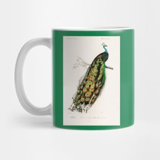 Indian peafowl (Pavo Cristatus) Mug